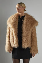 Load image into Gallery viewer, COAT AN5324