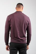 Load image into Gallery viewer, TURTLE CREWNECK SWEATER